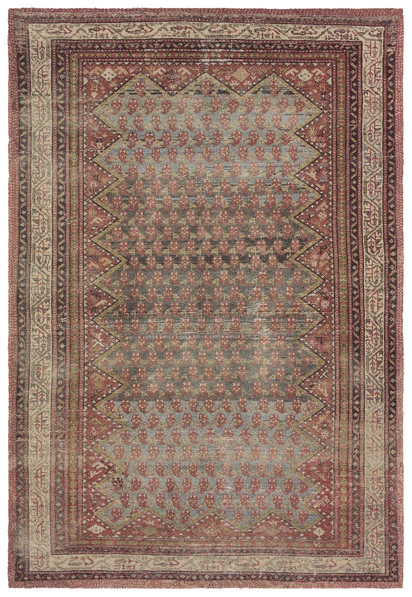 Jaipur Living Amata by House Sprucing Stellina AMT02 Red/Blue Area Rug