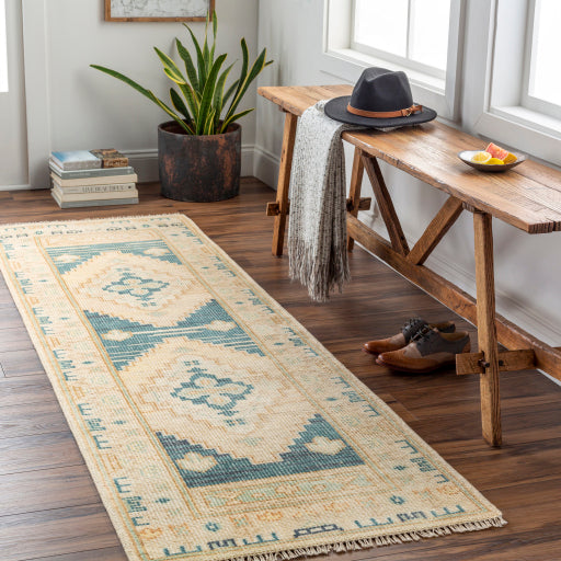 Surya Anadolu AAU-2301 Area Rug Room Scene Featured