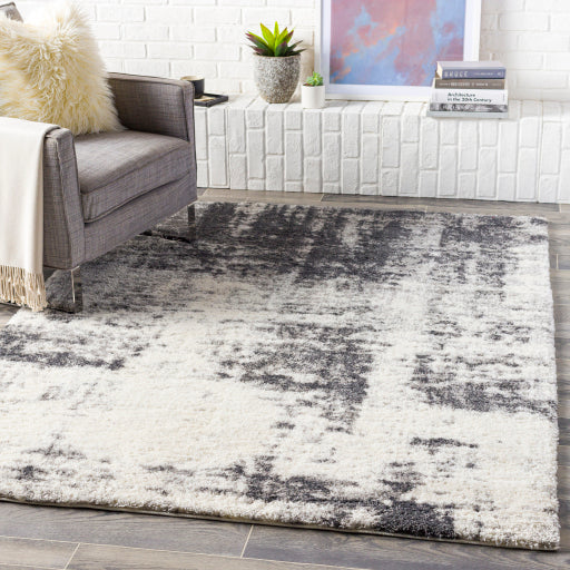 Surya Aliyah Shag ALH-2306 Area Rug Room Scene Featured