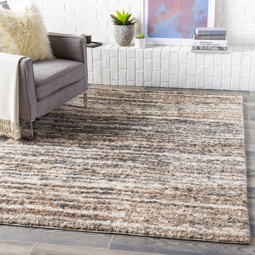 Surya Aliyah Shag ALH-2307 Area Rug Room Scene Featured