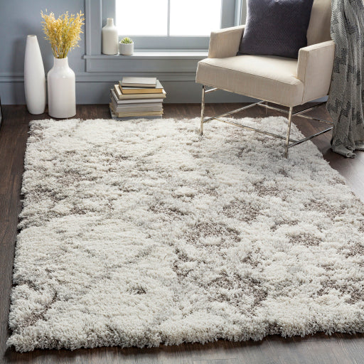 Surya Alta Shag ASG-2305 Area Rug by Artistic Weavers Room Scene Featured