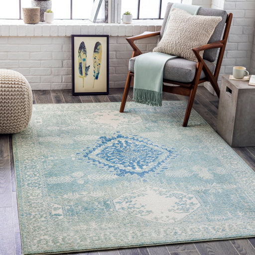 Surya Bodrum BDM-2336 Area Rug Room Scene Featured