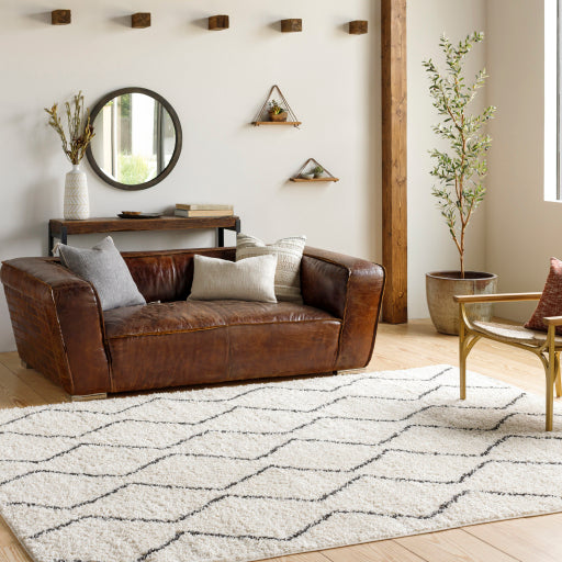 Surya Beni Shag BSH-2302 Area Rug Room Scene Featured