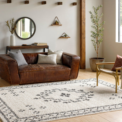 Surya Beni Shag BSH-2320 Area Rug Room Scene Featured