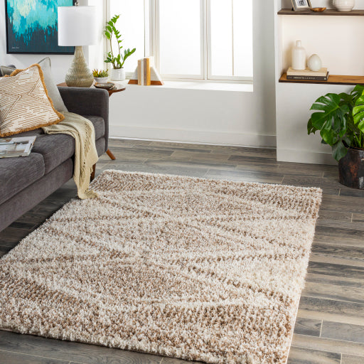 Surya Capella Shag CPS-2303 Area Rug Room Scene Featured