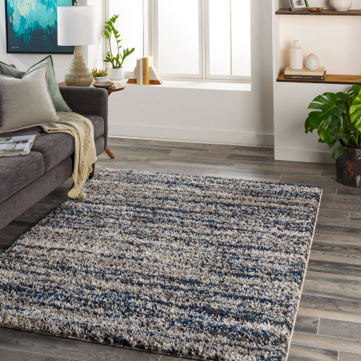 Surya Capella Shag CPS-2308 Area Rug Room Scene Featured