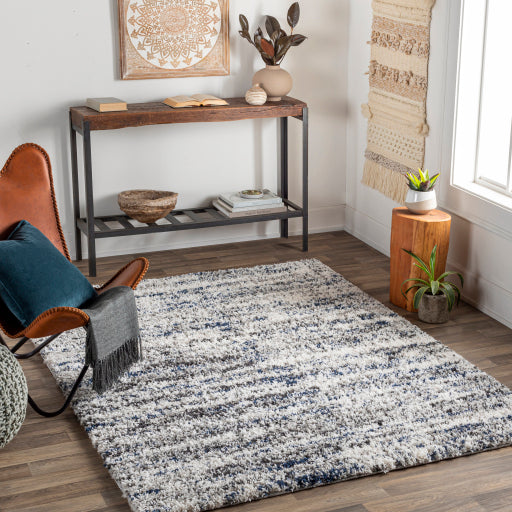 Surya Capella Shag CPS-2309 Area Rug Room Scene Featured