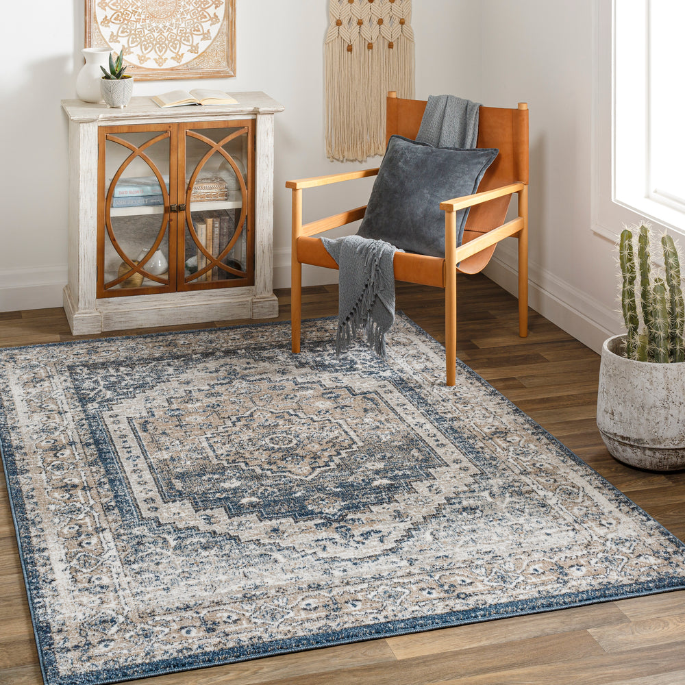 Surya Davaro DAV-2319 Area Rug Room Scene Featured