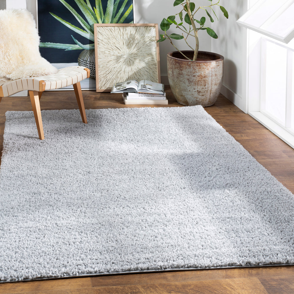 Surya Deluxe Shag DXS-2302 Area Rug Room Scene Featured