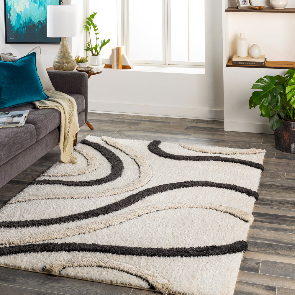 Surya Hudson Shag HDS-2312 Area Rug Room Scene Featured