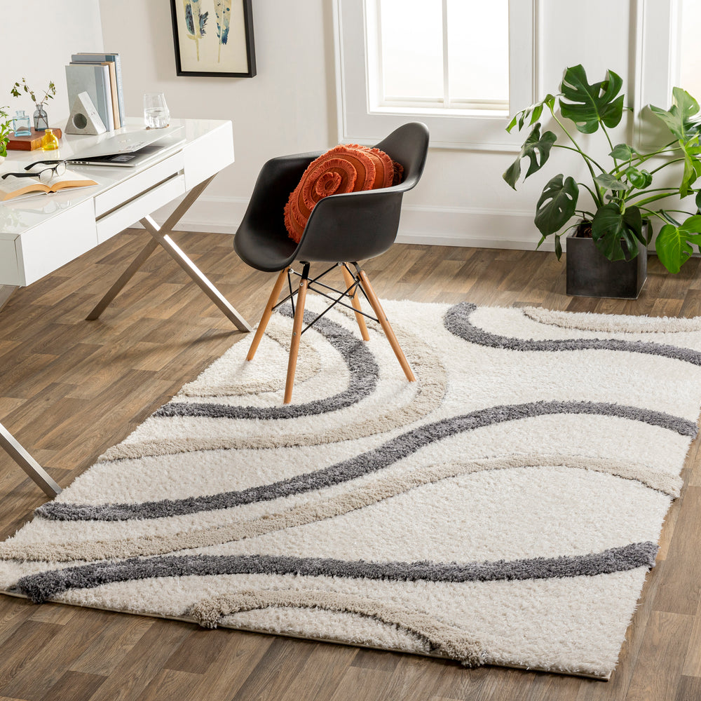 Surya Hudson Shag HDS-2313 Area Rug Room Scene Featured