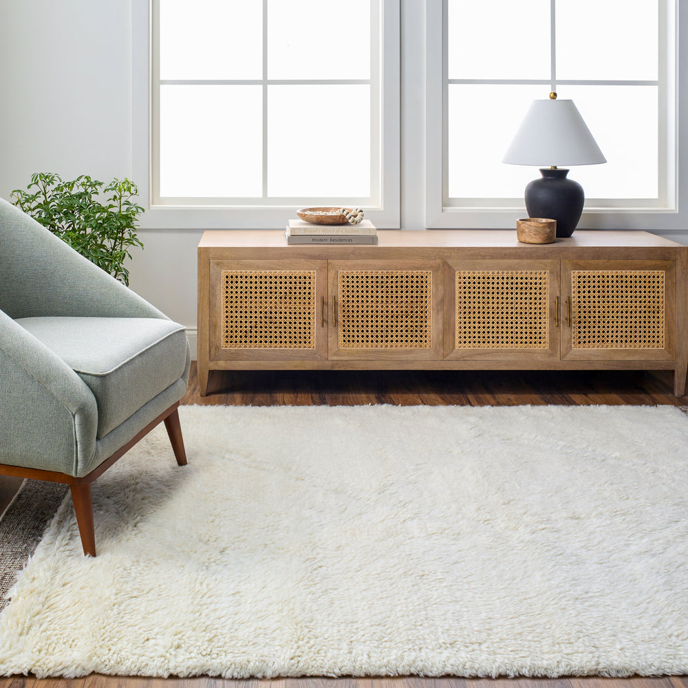 Surya Meknes MEK-1006 Area Rug Room Scene Featured