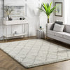 nuLOOM Edwin Trellis Shaggy Area Rug featured