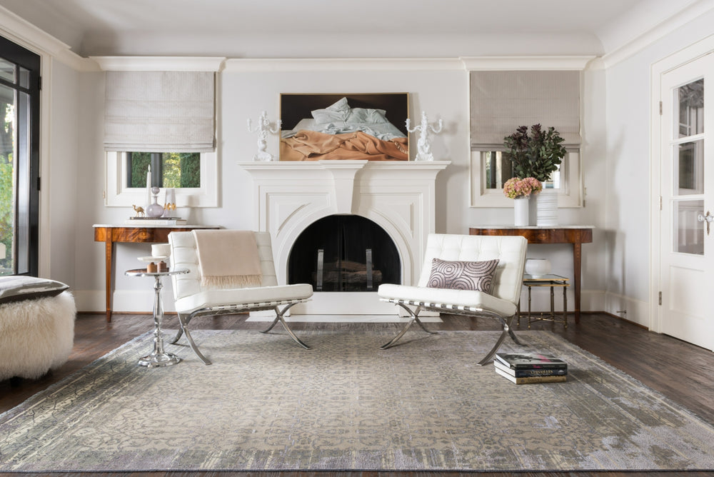 Loloi Ashton AG-05 Slate / Silver Area Rug Lifestyle Image Feature