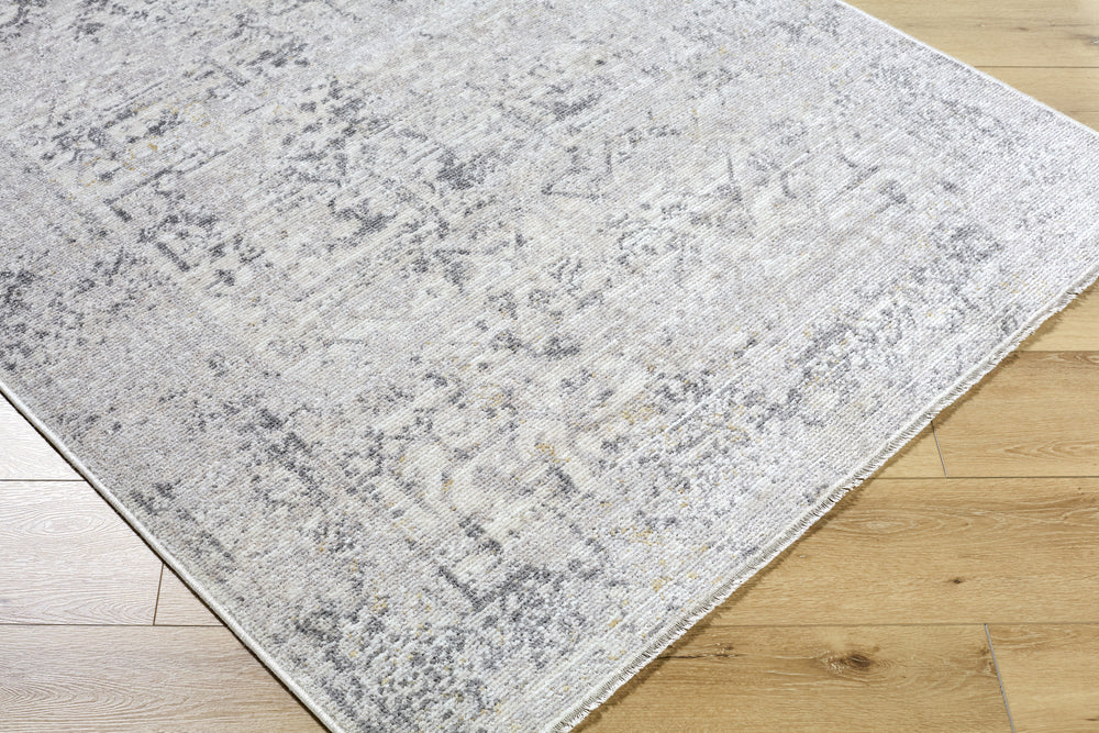 Livabliss Azhar AZR-2302 Area Rug
