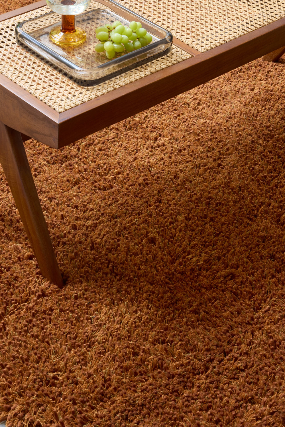 Brink and Campman Sprout Terracotta Area Rug Room Image Feature