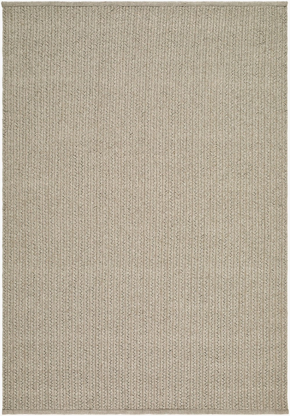 Surya Denizli DNZ-2303 Taupe Area Rug