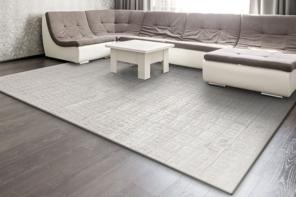 Dynamic Rugs Whistler 7125 Ivory/Grey Area Rug Room Scene Feature