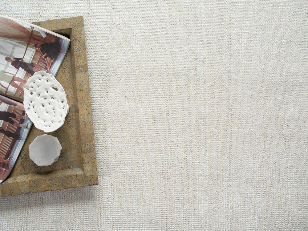 Exquisite Rugs Catalina 7283 Ivory Area Rug Lifestyle Image Feature