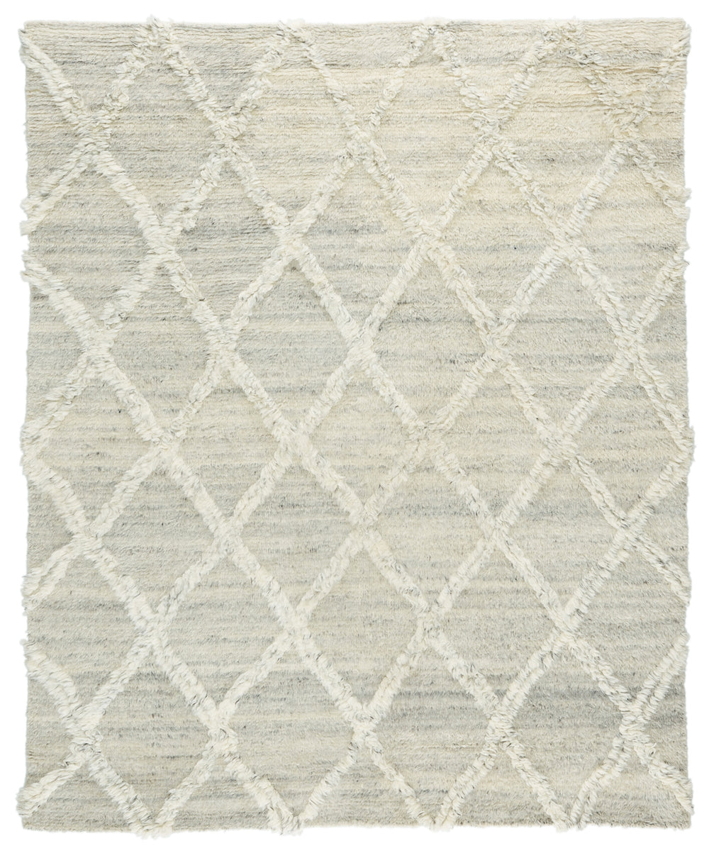 Jaipur Living Enavi ENV01 Area Rug