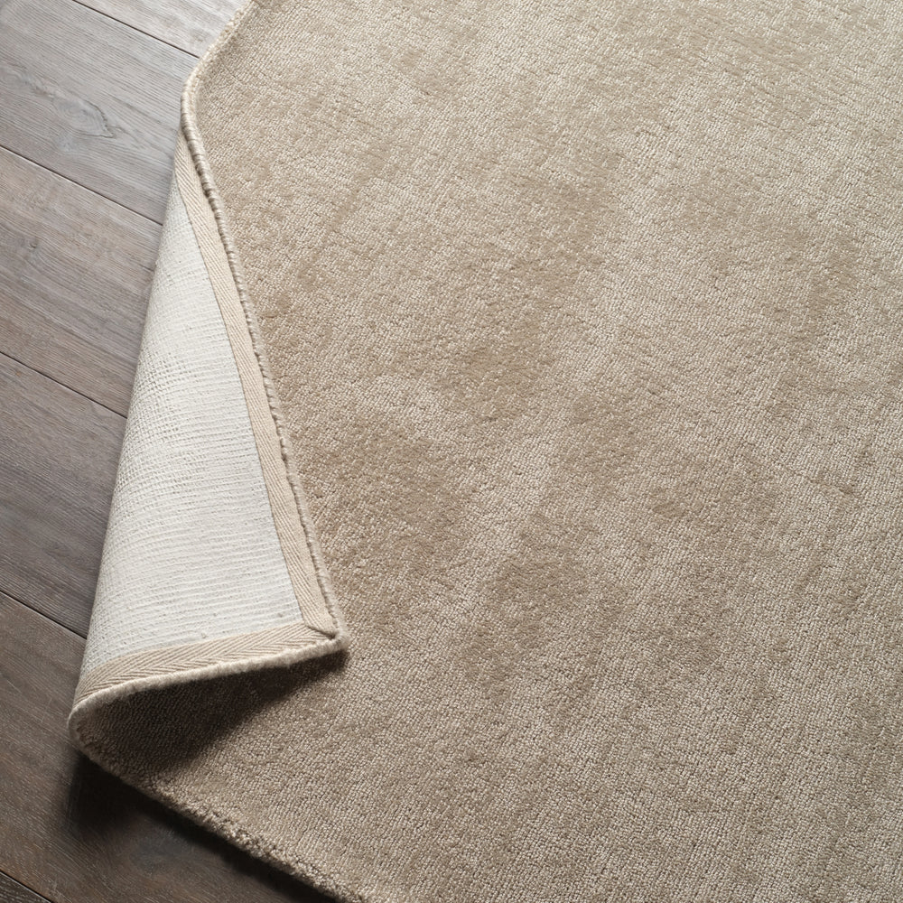 Jaipur Living Fletcher Arcus FTR02 Taupe/Cream Area Rug Lifestyle Image Feature