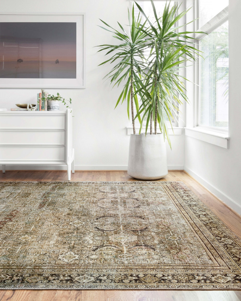 Loloi Layla LAY-03 Olive/Charcoal Area Rug Lifestyle Image Feature
