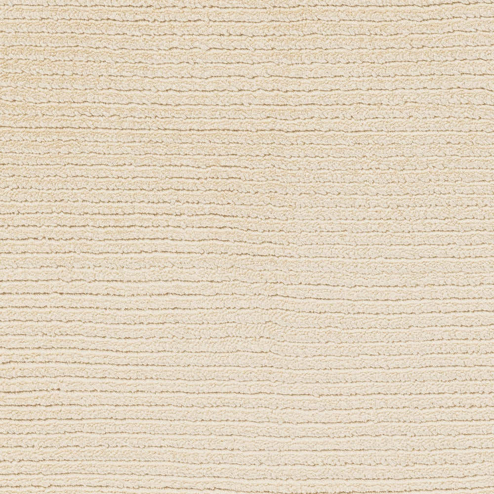 Surya Lodhi LDI-1005 Area Rug