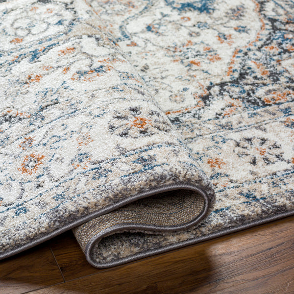 Surya Tuscany TUS2343 Area Rug Incredible Rugs and Decor