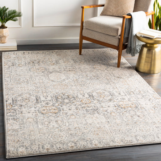 Surya Indigo IGO-2306 Area Rug Room Scene Featured