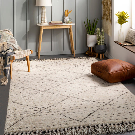 Surya Meknes MEK-1004 Area Rug Room Scene Featured