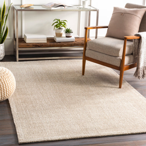 Surya Messina MSN-2300 Area Rug Room Scene Featured