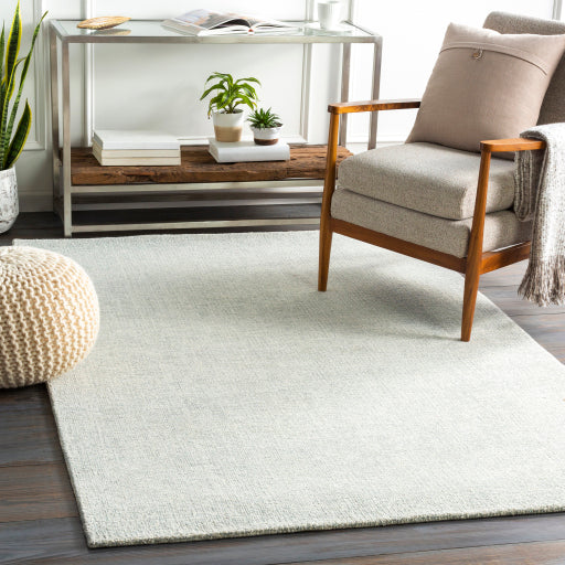 Surya Messina MSN-2304 Area Rug Room Scene Featured