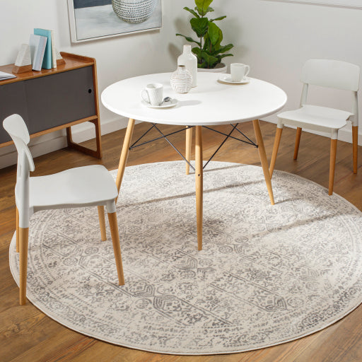 Surya Roma ROM-2308 Area Rug Room Scene Featured