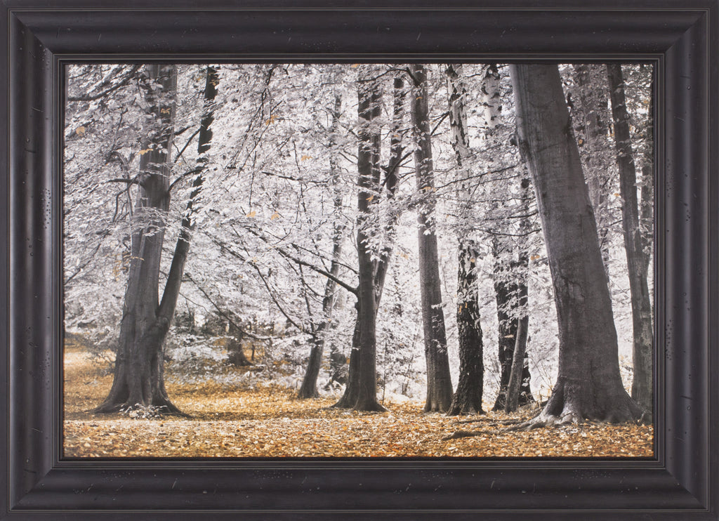 Art Effects Autumn Trees and Leaves Wall Art by Assaf Frank