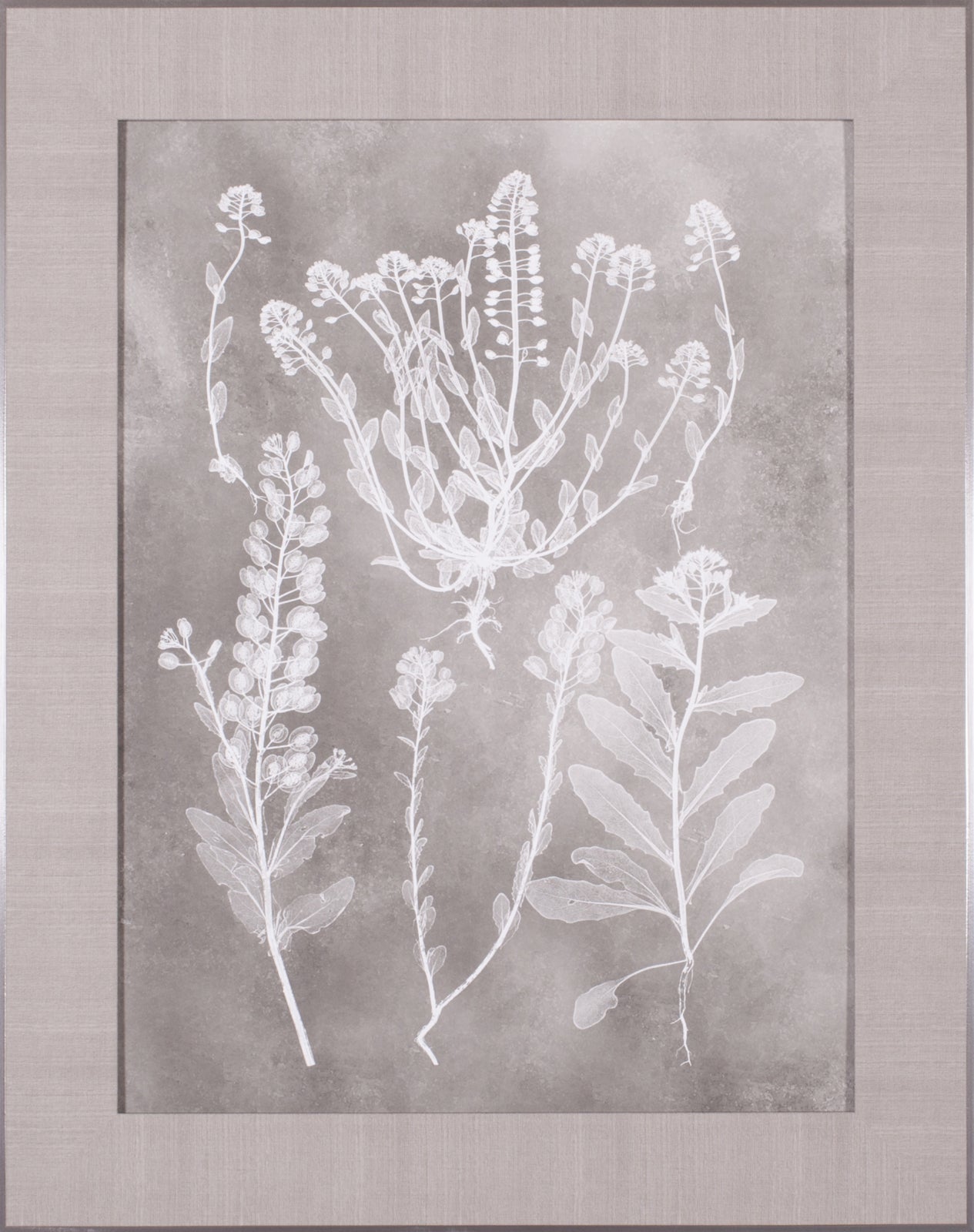 Art Effects Herbarium Study III Wall Art by Vision Studio