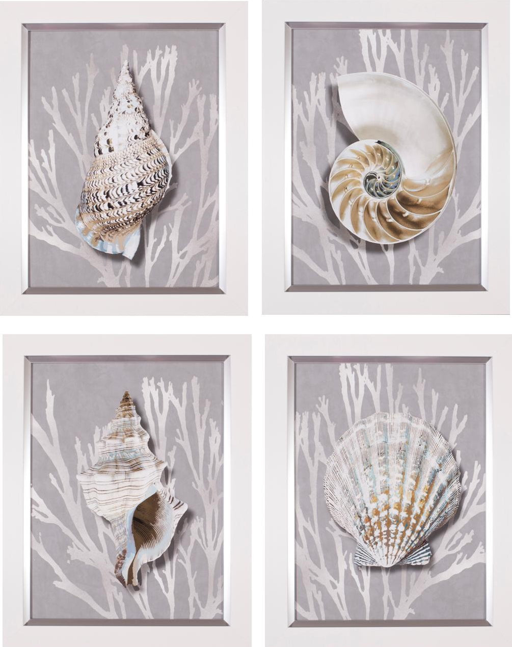 Art Effects Shell Coral Silver On Gray I-IV 4PC SET ONLY Wall Art by Caroline Kelly