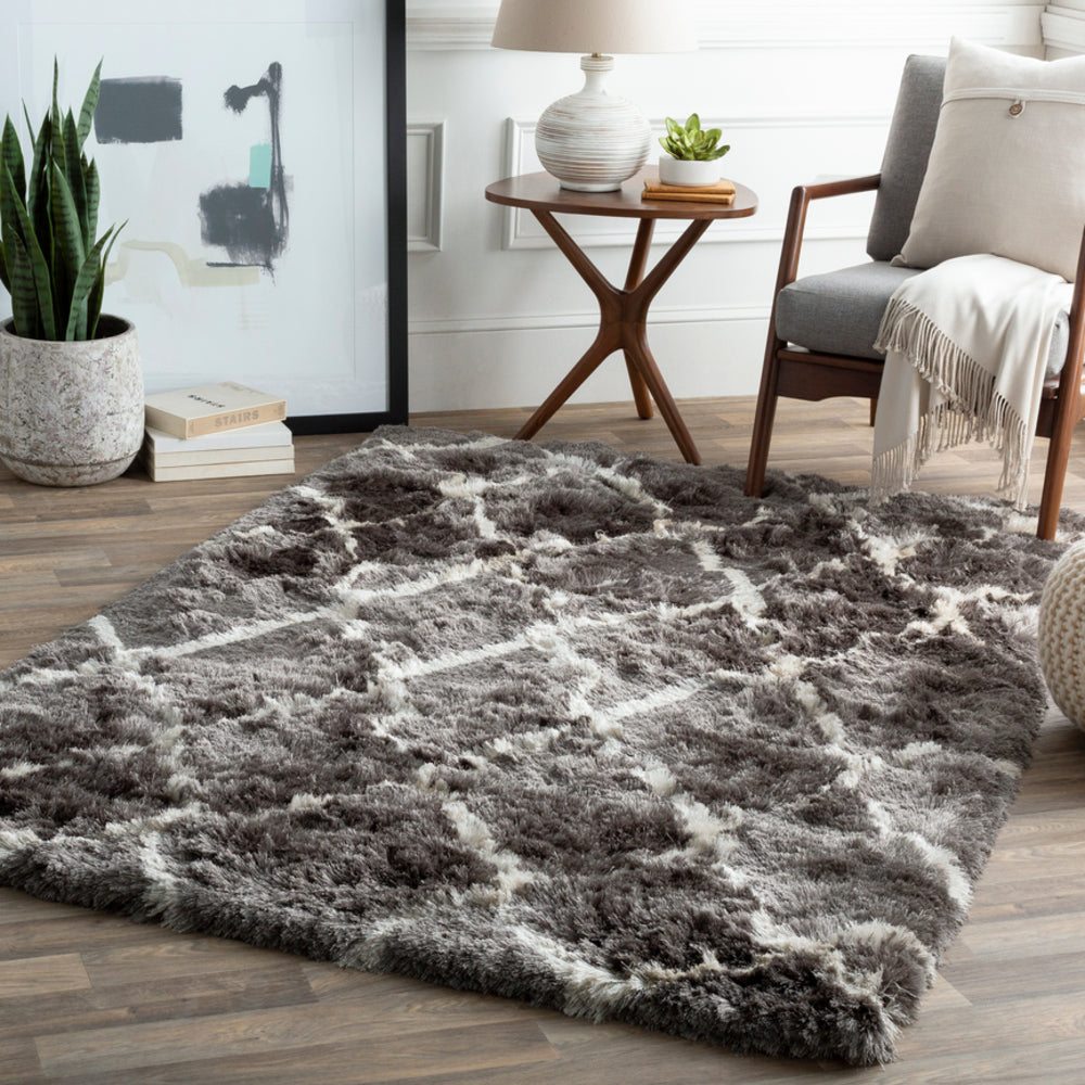 Surya Corsair CSR-1006 Area Rug Room Scene Feature