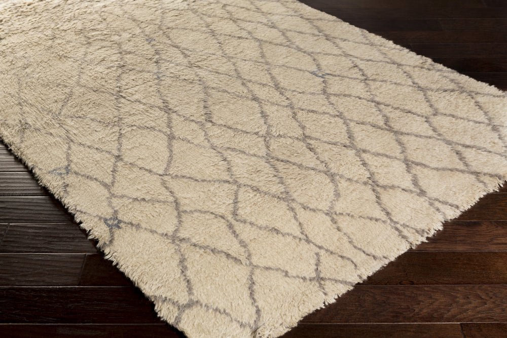 Surya Denali DEN-5004 Area Rug 5x8 Corner Feature