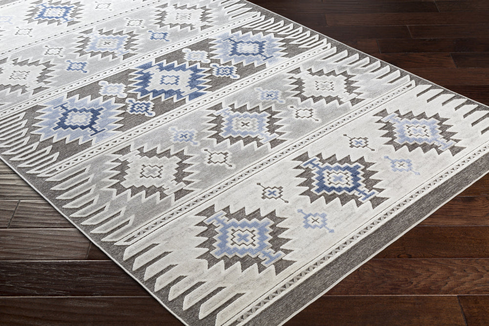 Surya Dantel DTL-2306 Area Rug Feature