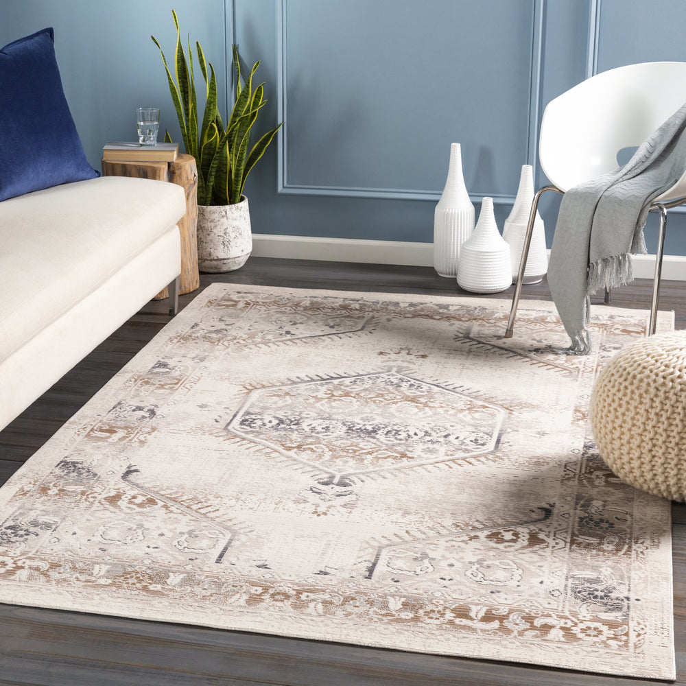 Surya Dublin DUB-2301 Area Rug Room Scene Feature
