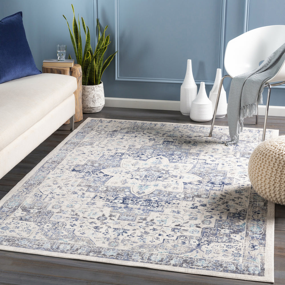 Surya Dublin DUB-2302 Area Rug Room Scene Feature