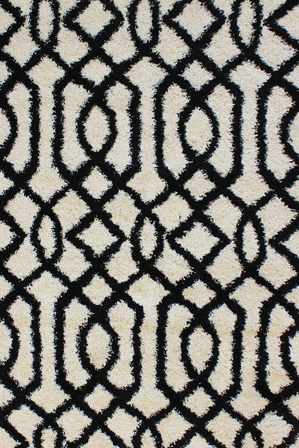 Dynamic Rugs Passion 6203 Ivory Area Rug