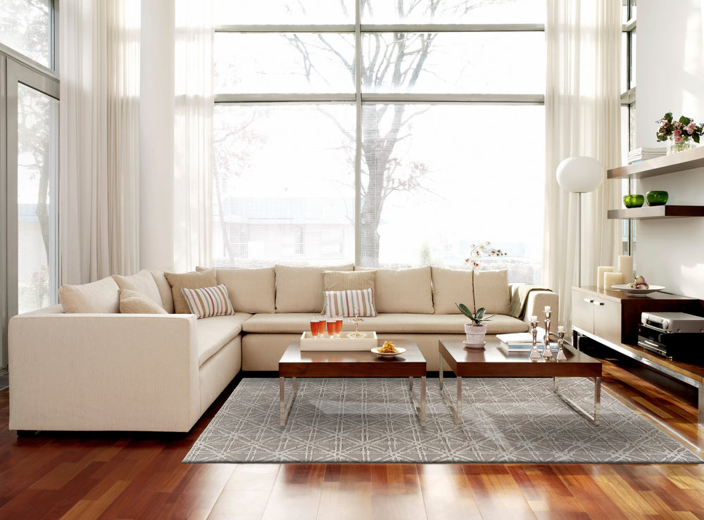 Feizy Manoa 8353F Tan/Ivory Area Rug Lifestyle Image Feature