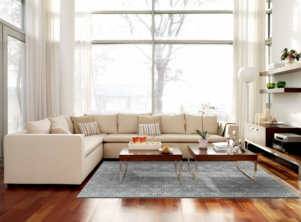 Feizy Manoa 8353F Gray Area Rug Lifestyle Image Feature