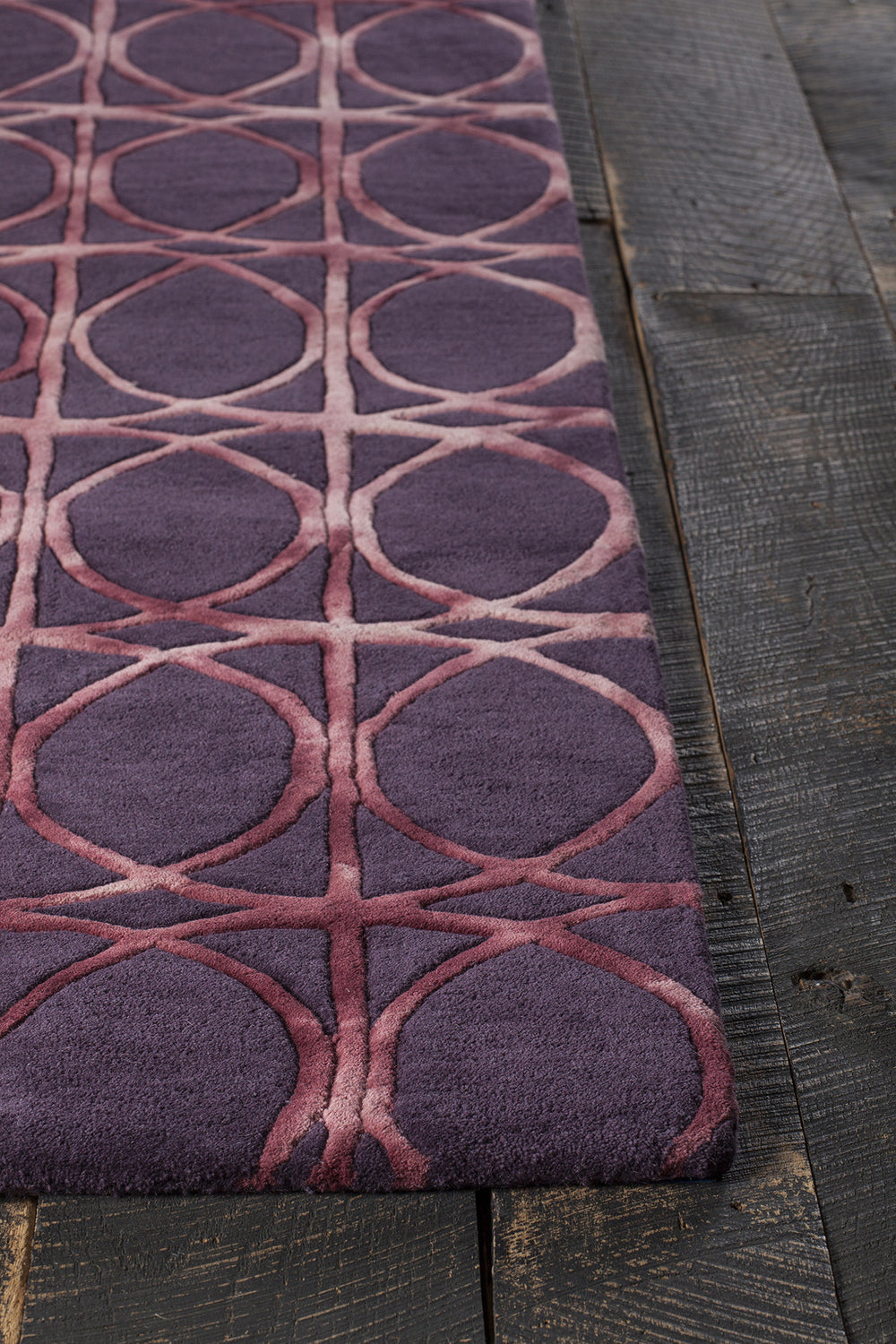 Chandra Fran FRA-42103 Area Rug Corner Shot Feature