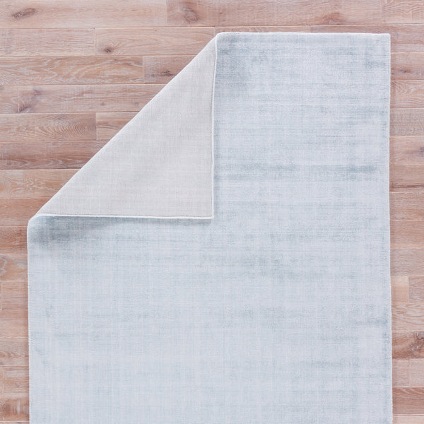 Jaipur Living Yasmin YAS10 Light Blue Area Rug Incredible Rugs and Decor