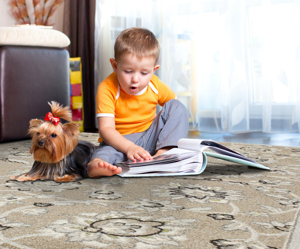 KAS Lucia 2750 Grey Artisan Area Rug Main Image Feature