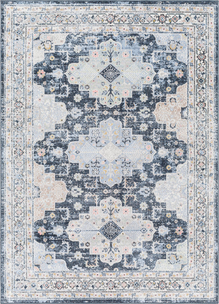 Surya Lavadora LVR-2312 Blue Area Rug