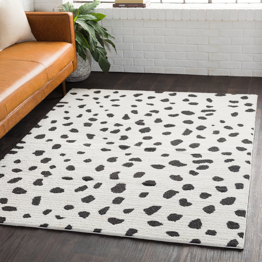 Surya Moroccan Shag MCS-2307 Area Rug Room Image Feature