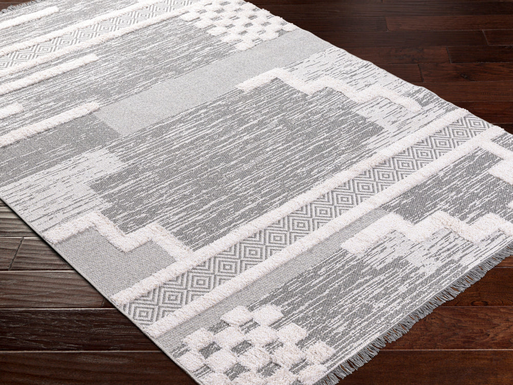 Livabliss Morocotton MCT-2305 Area Rug